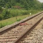 বিলোনিয়ায় রেলের কাটা পড়ে অজ্ঞাতপরিচয় ব্যক্তির মৃত্যু