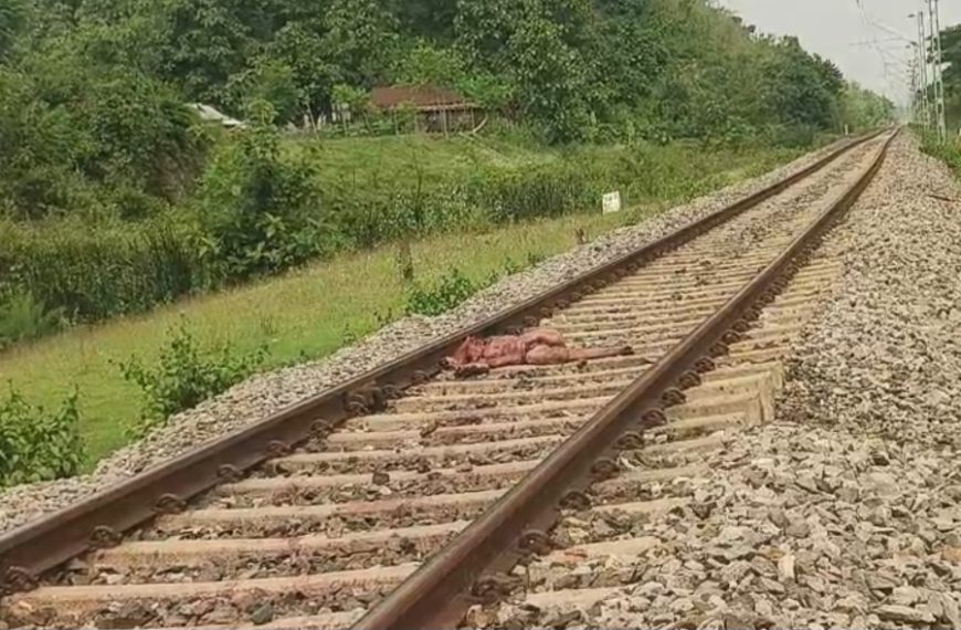 বিলোনিয়ায় রেলের কাটা পড়ে অজ্ঞাতপরিচয় ব্যক্তির মৃত্যু