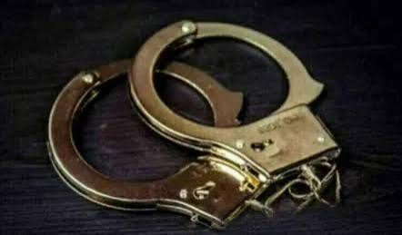 অটো থেকে চুরি হওয়া ২০ লক্ষ টাকার স্বর্ণালংকার উদ্ধার, গ্রেফতার দুই