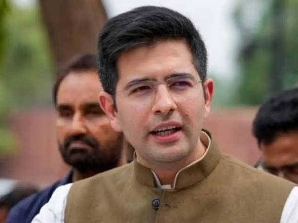 রাঘব চাড্ডার অন্তর্বর্তী আবেদন নিয়ে রায় সংরক্ষিত দিল্লি হাই কোর্টের, ‘ব্যক্তিত্বের অধিকার নয়, রাজনৈতিক সমালোচনা’ পর্যবেক্ষণ আদালতের