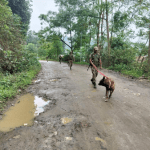 মণিপুরে সশস্ত্র হামলায় মহিলা-সহ নিহত ৩, জ্বালিয়ে দেওয়া হল একাধিক বাড়ি