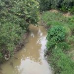 বিষ প্রয়োগে খালে হাজার হাজার মাছের মৃত্যু, কৈলাশহরে চাঞ্চল্য