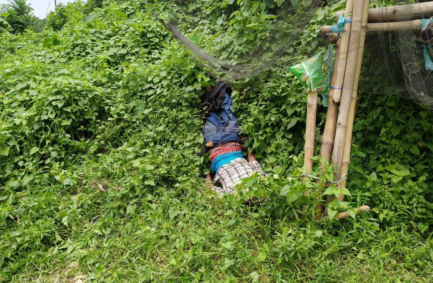 রঞ্জিতনগরে যুবকের মৃতদেহ উদ্ধার, চাঞ্চল্য; পরিবারের অভিযোগ খুনের