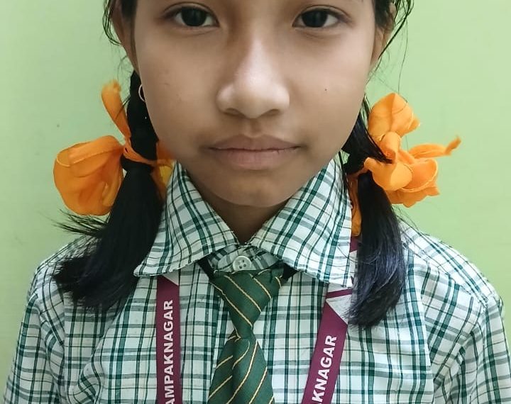 পুকুরের জলে ডুবে ১০ বছরের শিশুকন্যার মৃত্যু, শোকের ছায়া এলাকায়