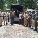 গভীর জঙ্গলে বনদপ্তরের অভিযান, অবৈধ চোরাই কাঠের মিলসহ বিপুল পরিমাণ কাঠ উদ্ধার