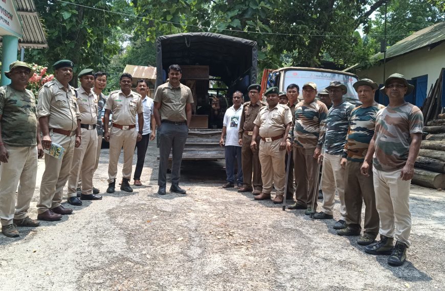 গভীর জঙ্গলে বনদপ্তরের অভিযান, অবৈধ চোরাই কাঠের মিলসহ বিপুল পরিমাণ কাঠ উদ্ধার