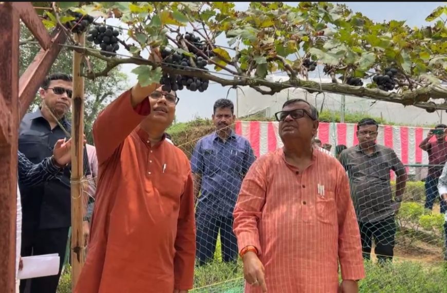 কৃষি বিজ্ঞান কেন্দ্রে আঙ্গুর চাষ নিয়ে সচেতনতামূলক কর্মসূচি, নাবার্ডের সহায়তায় নতুন প্রকল্পের সূচনা