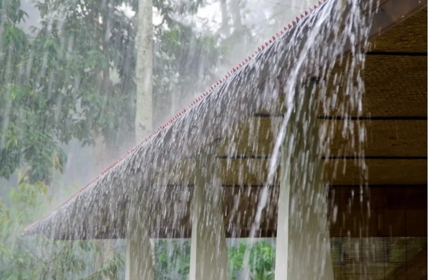 তীব্র গরমের মাঝেই সুখবর, কেরলে প্রবেশ করল বর্ষা