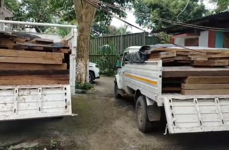 গভীর রাতে বন দফতরের অভিযানে ভেস্তে গেল কাঠ পাচারের চেষ্টা, আটক দুই গাড়ি