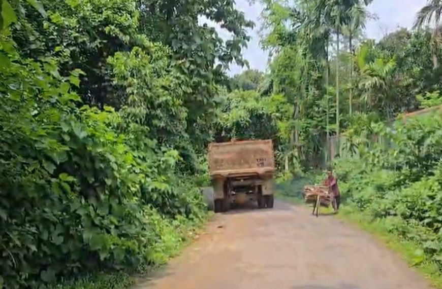 মাটিবাহী ট্রাকের দৌরাত্ম্যে বেহাল বৃদ্ধিনগর–আর কে নগর সড়ক, দ্রুত মেরামতের দাবিতে ক্ষোভ স্থানীয়দের