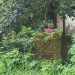 উদয়পুরে ড্রেন থেকে বৃদ্ধার দেহ উদ্ধার, তদন্তে পুলিশ