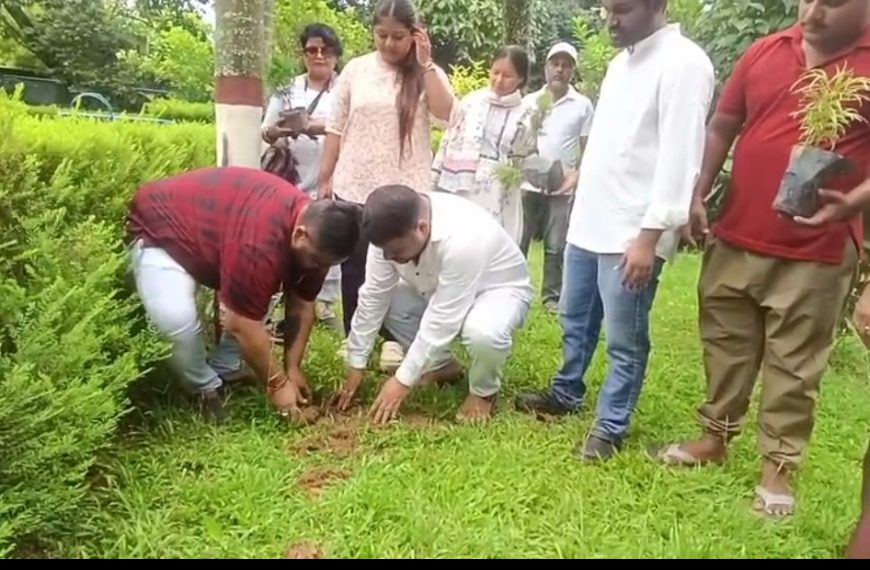 রাহুল গান্ধীর জন্মদিনে যুব কংগ্রেসের বৃক্ষরোপণ কর্মসূচি, রাজ্যজুড়ে ৯০০র অধিক গাছ লাগানোর লক্ষ্য