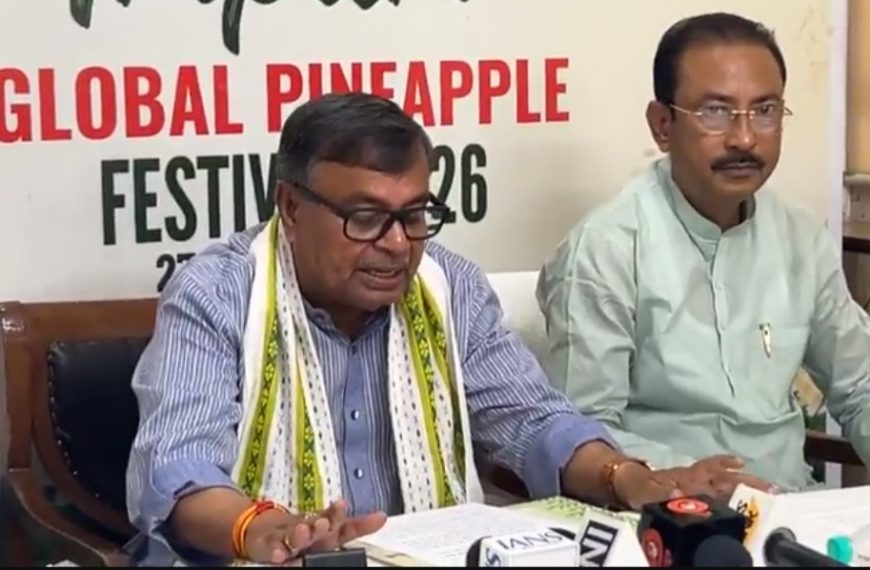 আগামী তিন বছরে ১২,০০০ থেকে ১৫,০০০ হেক্টরে বাড়ছে কুইন আনারস চাষ: কৃষিমন্ত্রী