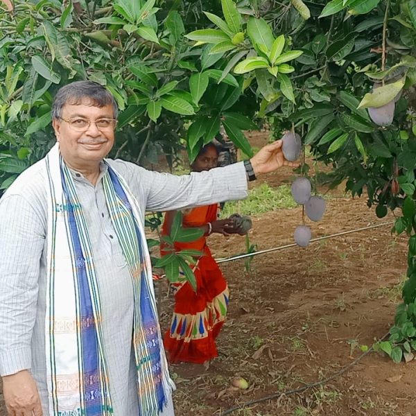 উচ্চমূল্যের আমের চাষে জোর, নাগিছড়ায় এক্সোটিক ম্যাঙ্গো ব্লকের&hellip;