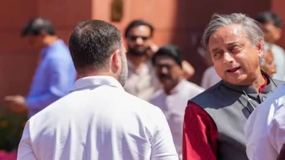 থারুরের মন্তব্যকে হাতিয়ার করে রাহুল গান্ধীকে কটাক্ষ বিজেপির, ‘জন্মদিনের উপহার নয়, ভেঙে দিলেন প্রচার’