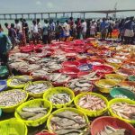 ভারতের সামুদ্রিক খাদ্য রফতানিতে রেকর্ড, ২০২৫-২৬ অর্থবর্ষে আয় ৭৩,৮৯০ কোটি টাকা