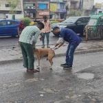 মধ্যপ্রদেশ মন্ত্রিসভার একাধিক বড় সিদ্ধান্ত, ৪৮ লক্ষ গ্রামবাসী পাবেন বিনামূল্যে জমির মালিকানার নথি