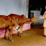 গোরক্ষা আমাদের মৌলিক কর্তব্য, যোগীর মন্তব্যে সমর্থনের সুর বিভিন্ন মহলে