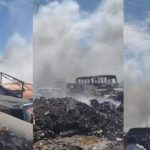 চেন্নাইয়ের পল্লিকারানাই ডাম্পইয়ার্ডে ভয়াবহ অগ্নিকাণ্ড, পুড়ে ছাই ১০০-র বেশি বাজেয়াপ্ত যানবাহন