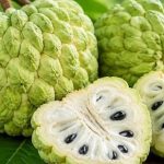 জিআই স্বীকৃতি পেল সেওনির বিশালাকার সীতাফল, মধ্যপ্রদেশের কৃষকদের জন্য বড় সাফল্য