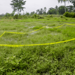 এনকাউন্টার’: সাধারণ সাক্ষাৎ থেকে পুলিশি গুলিতে মৃত্যুর প্রতিশব্দ, কীভাবে বদলাল শব্দটির অর্থ