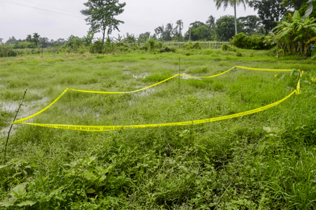 এনকাউন্টার’: সাধারণ সাক্ষাৎ থেকে পুলিশি গুলিতে মৃত্যুর প্রতিশব্দ, কীভাবে বদলাল শব্দটির অর্থ