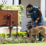 নয়ডার জেলাশাসকের দফতর উড়িয়ে দেওয়ার হুমকি ই-মেলে, সতর্ক পুলিশ প্রশাসন