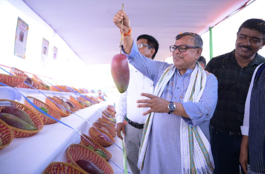 গন্ডাতুইসায় আম বিপ্লব; আরও ৩৪২ কানিতে আম চাষ সম্প্রসারণের ঘোষণা কৃষিমন্ত্রীর