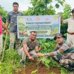 তৃষ্ণা অভয়ারণ্যে বনভূমি দখলমুক্তকরণ অভিযান, পুনরুদ্ধার করা হল ৫ হেক্টরেরও বেশি এলাকা