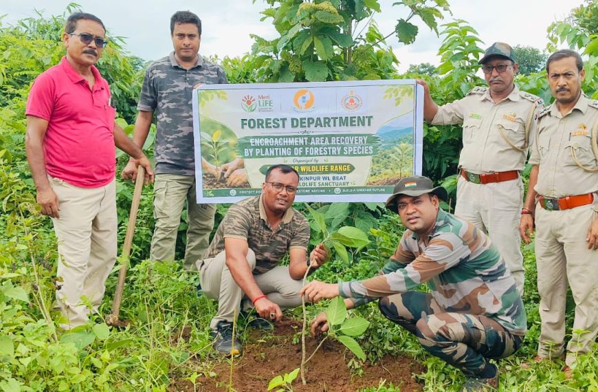 তৃষ্ণা অভয়ারণ্যে বনভূমি দখলমুক্তকরণ অভিযান, পুনরুদ্ধার করা হল ৫ হেক্টরেরও বেশি এলাকা
