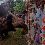 যোগেন্দ্রনগর রথযাত্রা উৎসবে সামিল সাংসদ বিপ্লব কুমার দেব