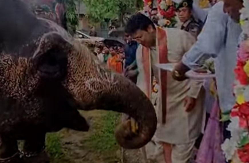 যোগেন্দ্রনগর রথযাত্রা উৎসবে সামিল সাংসদ বিপ্লব কুমার দেব