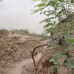 তেলিয়ামুড়ায় উপড়ে পড়ল বিশাল বটগাছ, দুই পরিবারের বসতঘর বিধ্বস্ত; আহত দুই, ঘটনাস্থলে বিধায়িকা ও প্রশাসন