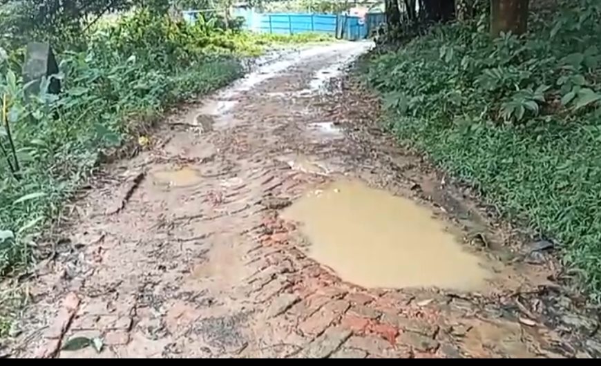 দীর্ঘ দেড় বছর ধরে বেহাল রাস্তা, মরণফাঁদে পূর্ব বামুটিয়ার মণিপুরপাড়া— দ্রুত সংস্কারের দাবি বাসিন্দাদের
