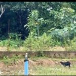 বিল না মেটানোয় দুই বছর ধরে বন্ধ পানীয় জল প্রকল্পের কাজ, ডি.ডব্লিউ.এসের বিরুদ্ধে ক্ষোভ মান্দাইয়ে