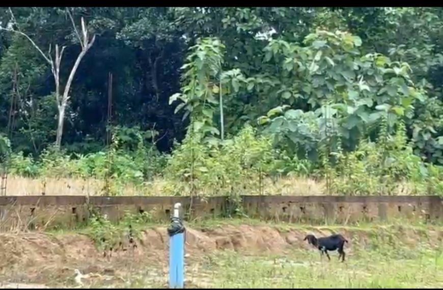 বিল না মেটানোয় দুই বছর ধরে বন্ধ পানীয় জল প্রকল্পের কাজ, ডি.ডব্লিউ.এসের বিরুদ্ধে ক্ষোভ মান্দাইয়ে