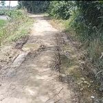 কয়েক যুগ ধরে বেহাল রাস্তা ও বেইলি ব্রিজ, দুর্ভোগে এলাকাবাসী; দ্রুত সংস্কারের দাবি