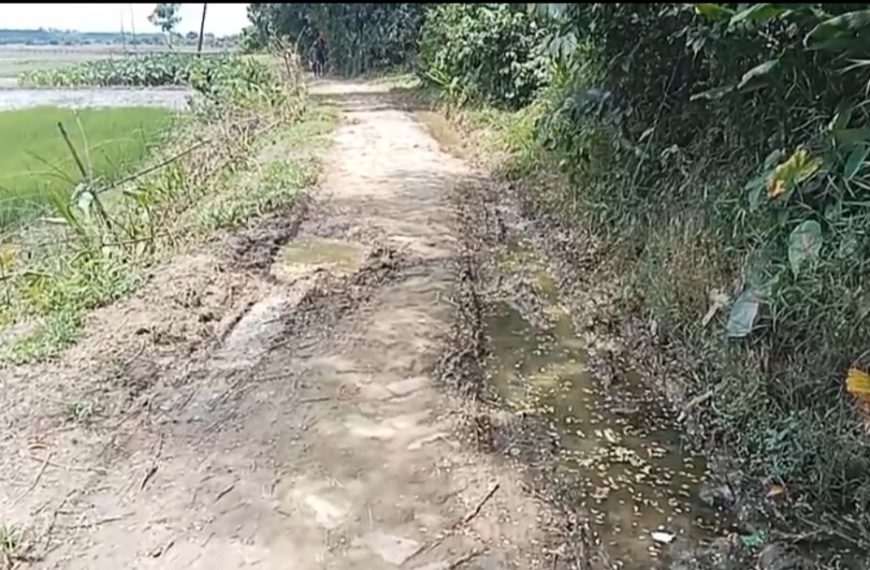 কয়েক যুগ ধরে বেহাল রাস্তা ও বেইলি ব্রিজ, দুর্ভোগে এলাকাবাসী; দ্রুত সংস্কারের দাবি