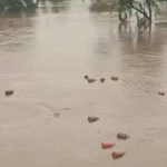 মহারাষ্ট্রে বন্যার জেরে নদীতে ভেসে গেল প্রায় ৩ হাজার এলপিজি সিলিন্ডার, সতর্ক প্রশাসন