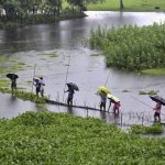 অসমে বন্যা পরিস্থিতি আরও ভয়াবহ, ১১ জেলায় ৩.১০ লক্ষের বেশি মানুষ ক্ষতিগ্রস্ত; বিপদসীমার উপর দিয়ে বইছে একাধিক নদী