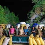 অসম-মিজোরামে আসাম রাইফেলসের জোড়া সাফল্য, ২৬ কোটিরও বেশি মাদক ও সংরক্ষিত ঔষধি গাছ উদ্ধার