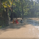নেপালের বন্যার প্রভাব, গণ্ডক ব্যারাজের জল ছাড়ায় বিহারের পশ্চিম চম্পারণের নিচু এলাকা প্লাবিত