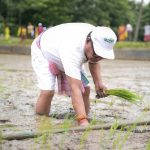 অন্নদাতাদের সঙ্গে ধানক্ষেতে কৃষিমন্ত্রী, উৎপাদন বৃদ্ধির আহ্বান