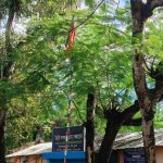 ইচাইলালছড়া গ্রাম পঞ্চায়েতে উল্টো জাতীয় পতাকা, অব্যবস্থার অভিযোগে ক্ষোভ