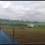 রাঙ্গামাটিয়ায় বন্যায় ক্ষতিগ্রস্ত কৃষক, ছড়া সংস্কার ও কালভার্ট নির্মাণের দাবি