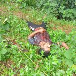 কৈলাসহর সীমান্তে বিএসএফের গুলিতে বাংলাদেশি নাগরিকের মৃত্যু