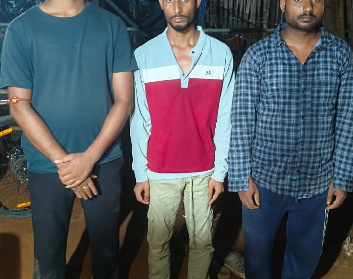 সীমান্তে গাঁজা পাচারের অভিযোগে তিন যুবক আটক, কৈলাসহর থানার হেফাজতে