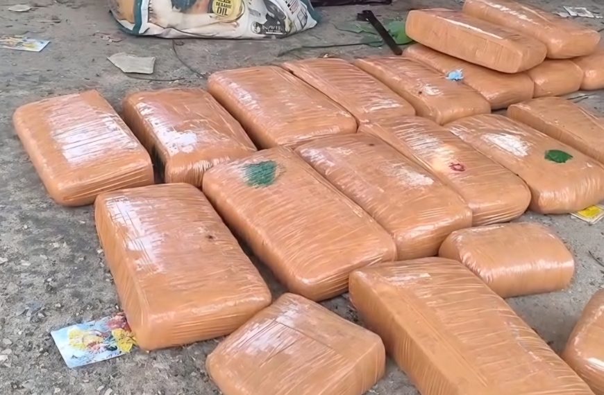 যোগেন্দ্রনগর রেলস্টেশনে ২৫ কেজি গাঁজাসহ তিন মহিলা আটক