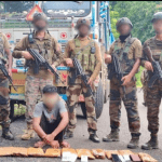 আসাম-মনিপুরে যৌথ অভিযানে বিপুল মাদক ও অস্ত্র উদ্ধার, গ্রেফতার ৯
