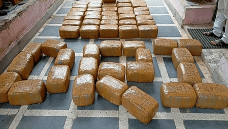 আট অভিযানে ৭৪০ কেজি গাঁজা-চরস বাজেয়াপ্ত, গ্রেফতার ১৩